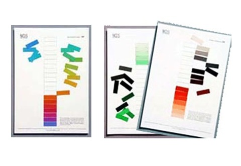 NCS培训材料(完整版)